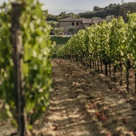 Villa Wine Campacci San Gusme
