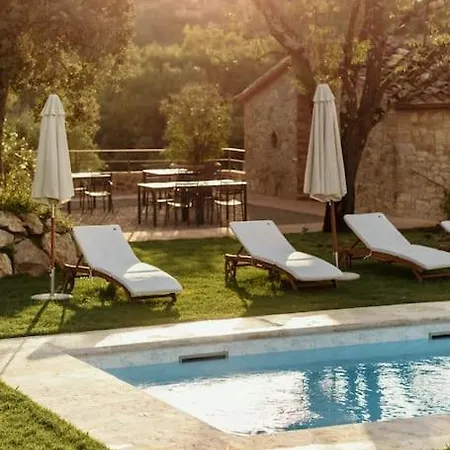 Wine Campacci Villa