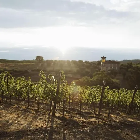 Wine Campacci San Gusme