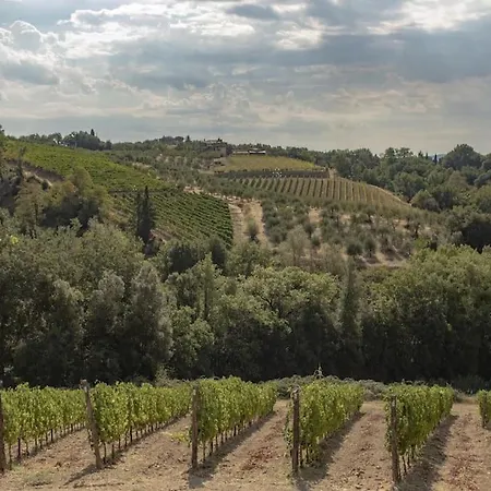 Villa Wine Campacci