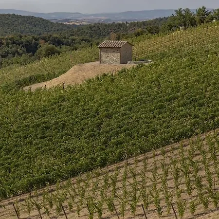 Villa Wine Campacci San Gusme