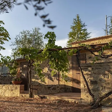 Wine Campacci * San Gusme