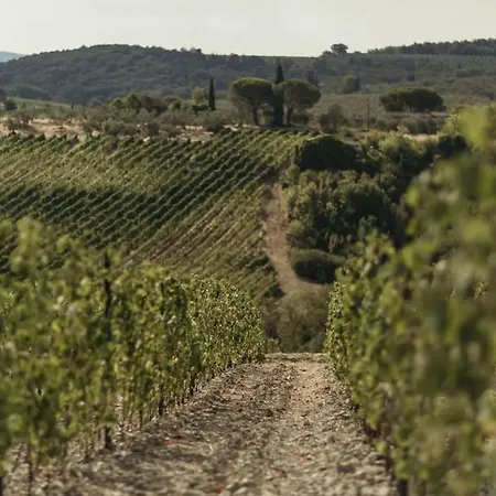 Villa Wine Campacci