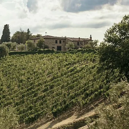 Wine Campacci *