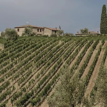 Wine Campacci * San Gusme