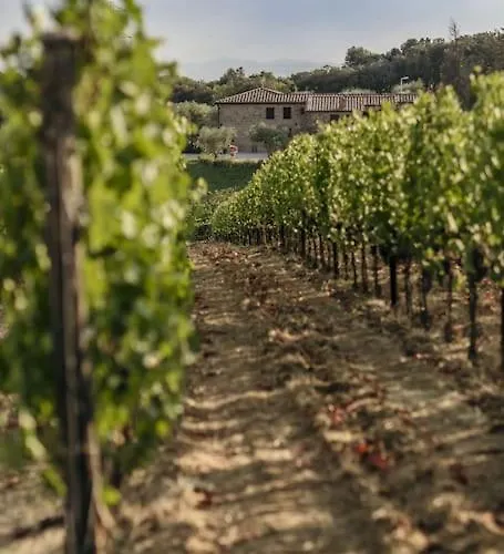 Villa Wine Campacci San Gusme