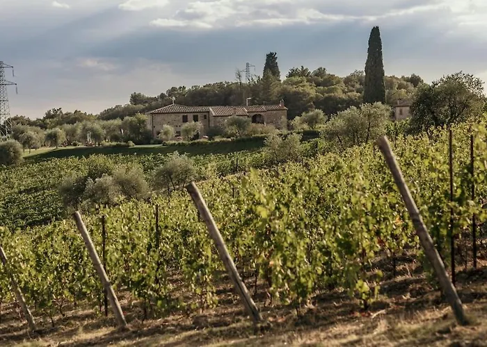 Wine Campacci * San Gusme