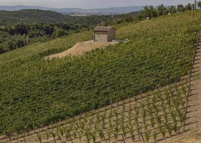 Villa Wine Campacci San Gusme