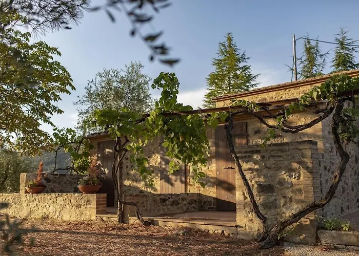 Wine Campacci * San Gusme