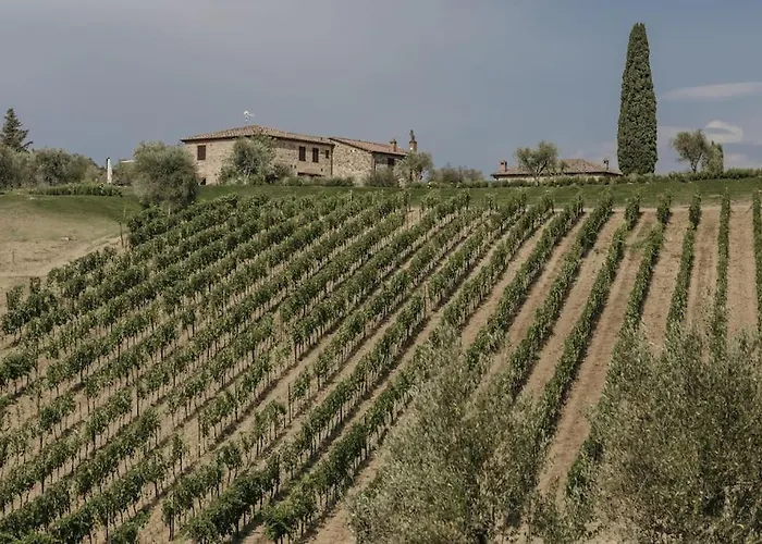 Wine Campacci * San Gusme