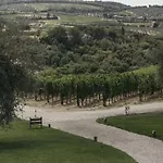 Villa Wine Campacci *