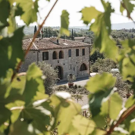 Wine Campacci
