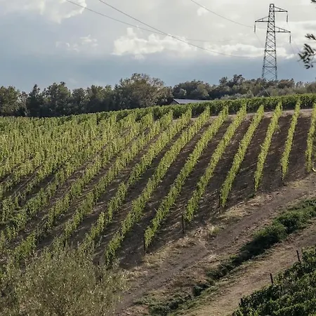 Wine Campacci Villa